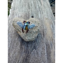 broche insecte strié jaune et gris