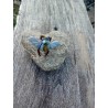 broche insecte strié jaune et gris